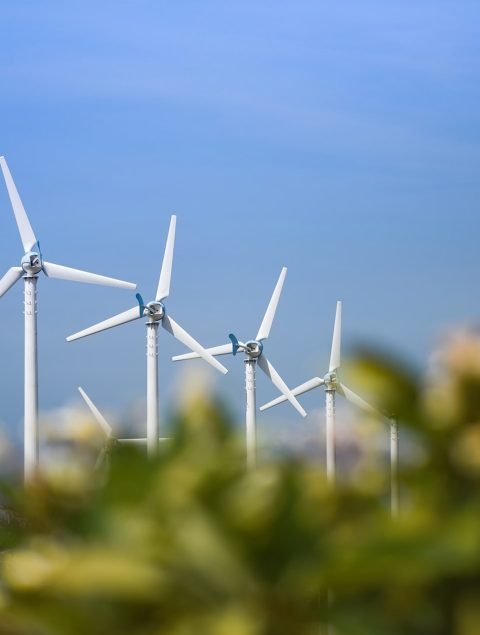 wind-turbine-landscape-natural-energy-green-eco-power-concept-wind-turbines-farm-blue-sky wind-turbine-landscape-natural-energy-green-eco-power-concept-wind-turbines-farm-blue-sky